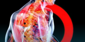 Cientistas descobrem ‘interruptor secreto’ do corpo que desliga inflamações.