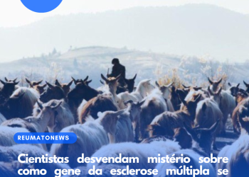 Cientistas desvendam mistério sobre como gene da esclerose múltipla se espalhou