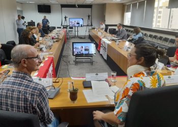 Contra impunidade da pandemia, conselhos de Saúde e de Direitos Humanos atuam para preservar direito sanitário e resposta a emergências