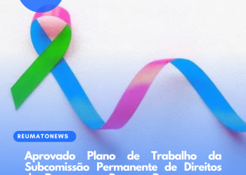 Aprovado Plano de Trabalho da Subcomissão Permanente de Direitos das Pessoas com Doenças Raras