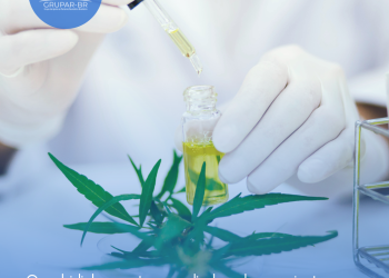 Canabidiol se torna aliado de pacientes em tratamentos oncológicos