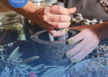 Especialista explica mitos e verdades sobre o uso de plantas medicinais e fitoterápicos