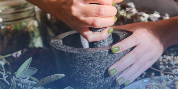 Especialista explica mitos e verdades sobre o uso de plantas medicinais e fitoterápicos