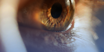 Mitos e verdades: quais alimentos fazem bem ou mal para os olhos