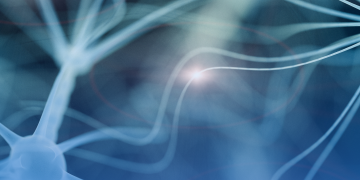 Novo tratamento para lúpus com células T CAR acaba com necessidade de remédios