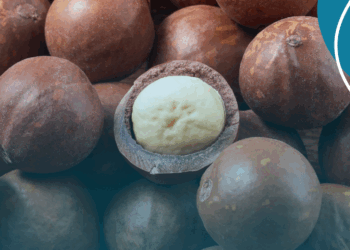 Reduz risco de diabetes e faz bem ao coração: 6 benefícios da macadâmia… – Veja mais em https://www.uol.com.br/vivabem/noticias/redacao/2024/03/21/beneficios-da-macadamia-saude.htm?cmpid=copiaecola