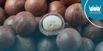 Reduz risco de diabetes e faz bem ao coração: 6 benefícios da macadâmia… – Veja mais em https://www.uol.com.br/vivabem/noticias/redacao/2024/03/21/beneficios-da-macadamia-saude.htm?cmpid=copiaecola