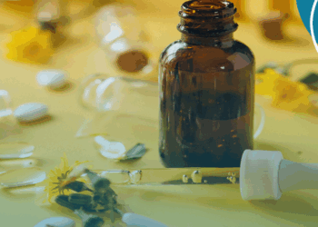 SUS amplia investimento em fitoterapia, mas desigualdade dificulta universalização no país