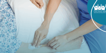 Em audiência pública na Câmara dos Deputados, Biored Brasil debate sobre a criação de centros de terapia assistida no SUS