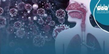 Casos e mortes por vírus causador da bronquiolite aumentam mais de 60% no Brasil em 1 ano