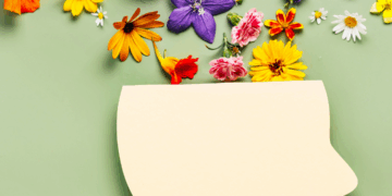 Ministério da Saúde avança em ações de saúde mental e direitos humanos em parceria com instituições nacionais