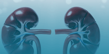 Apenas 10% dos brasileiros lembram que diabetes pode afetar rins, diz Datafolha