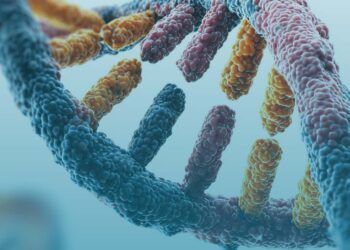 Consulta Pública nº 03/2026 – proposta de incorporação do Sequenciamento de Nova Geração (NGS) para identificação de mutação nos genes BRCA1/2 em mulheres com câncer de mama