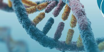 Consulta Pública nº 03/2026 – proposta de incorporação do Sequenciamento de Nova Geração (NGS) para identificação de mutação nos genes BRCA1/2 em mulheres com câncer de mama