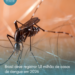 Brasil deve registrar 1,8 milhão de casos de dengue em 2026