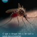 O que a dengue tem a ver com a saúde das articulações