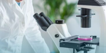 CNS debate sobre grupo de trabalho para acompanhar Política Nacional de Diagnóstico Laboratorial no SUS