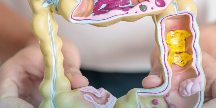 ANS promove Audiência Pública 63