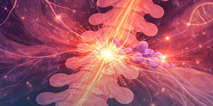 Polilaminina: o que falta para viabilizar o uso do medicamento