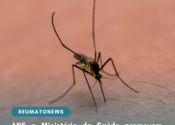 ANS e Ministério da Saúde promovem webinário sobre enfrentamento à dengue e chikungunya