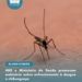 ANS e Ministério da Saúde promovem webinário sobre enfrentamento à dengue e chikungunya