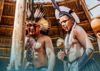 Na Semana Mundial da Saúde, CNS promove reunião extraordinária com Audiência Pública e debate sobre saneamento indígena na RO