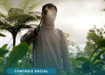 CNS debate impactos dos agrotóxicos na saúde de trabalhadores e trabalhadoras durante a 378ª Reunião Ordinária
