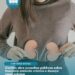 Conitec abre consultas públicas sobre leucemia mieloide crônica e doença renal crônica: contribuições podem ser enviadas até 20 de julho