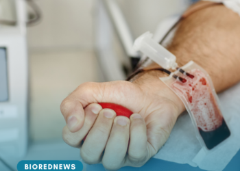 GSH Banco de Sangue de Ribeirão Preto convoca doadores em caráter de urgência