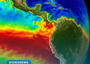 El Niño 2026–2027 e Saúde: participação social e respostas nos territórios