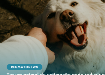 Ter um animal de estimação pode reduzir a percepção da dor física e emocional, segundo especialistas
