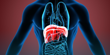 ANS aprova colangioscopia com litotripsia e recomenda preliminarmente não incorporar somatrogona e cabozantinibe.